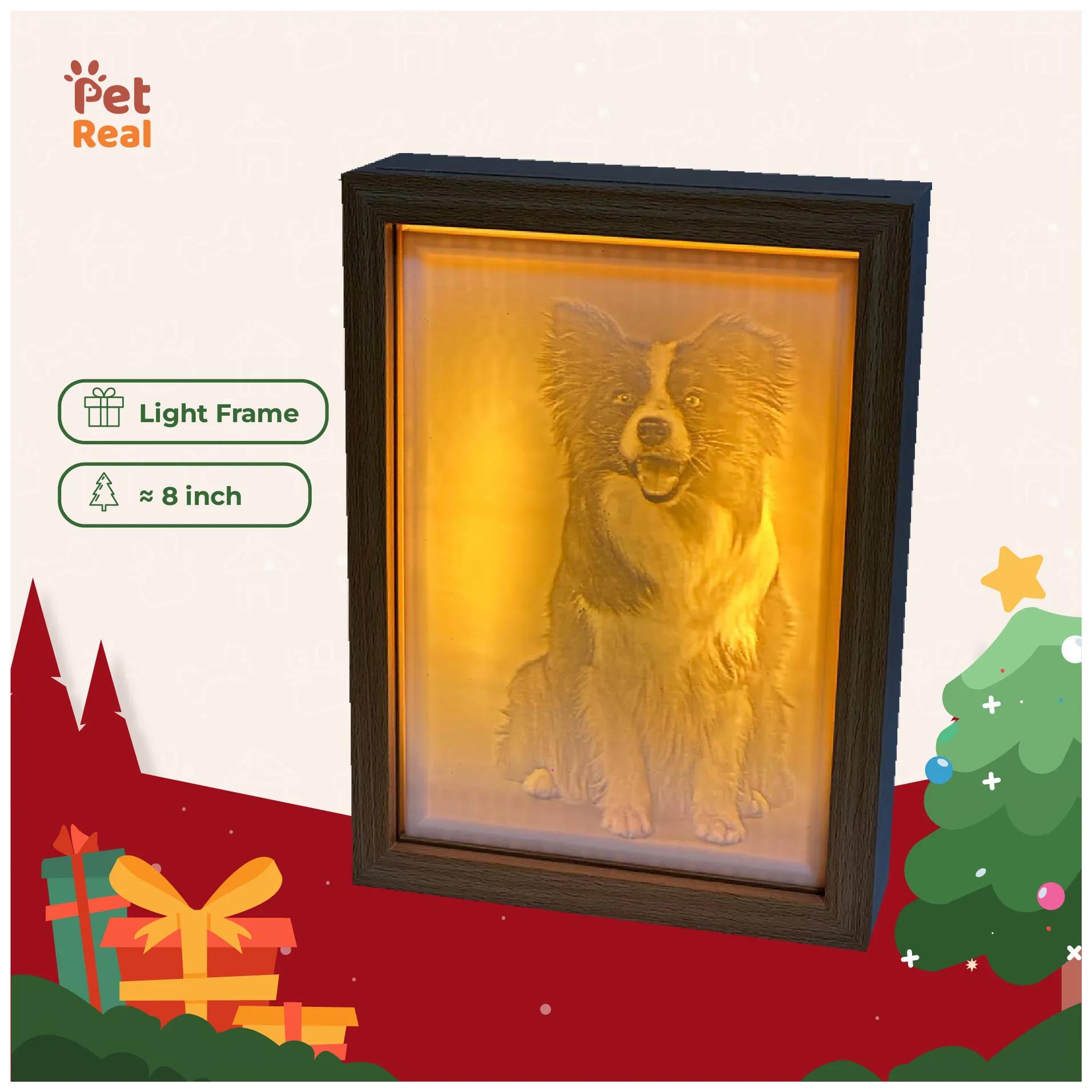 Light Frame	