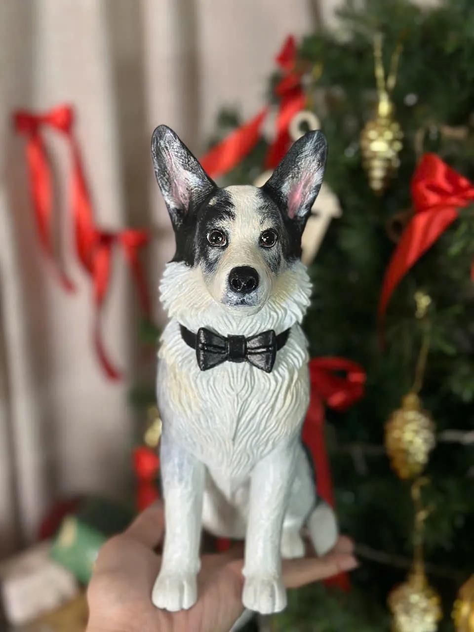 Pet Model