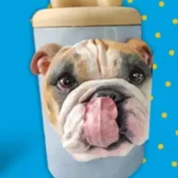 Customized urns for pets90$-> 63$
